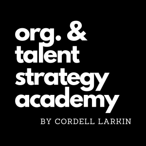 Organization and Talent Strategy Academy