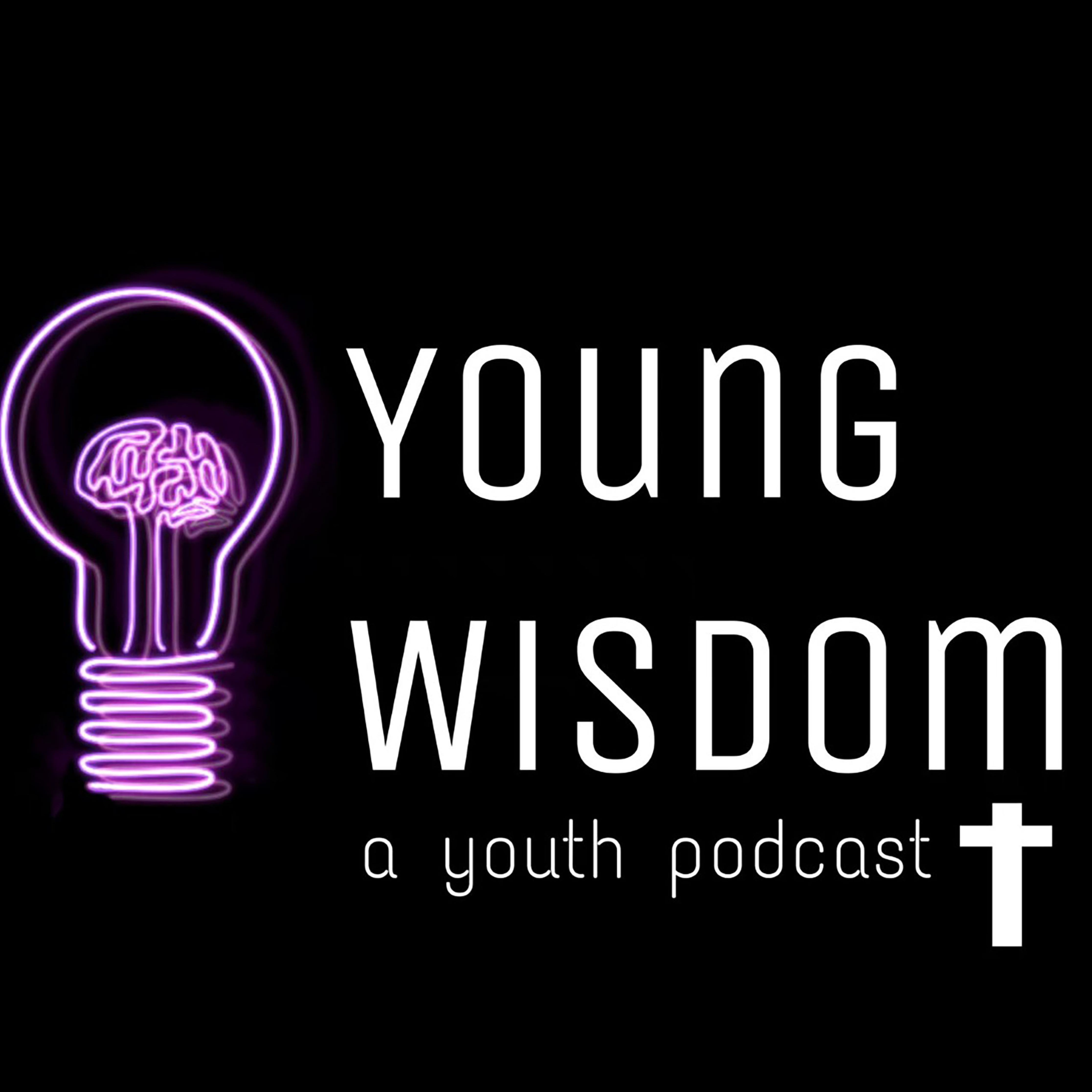 The Young Wisdom Podcast