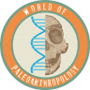 Cold Snap in Europe Brought an End to Ancient Humans, Inter-Glacial Passage in the Americas, and Genetics and Peptides in Neanderthals and Denisovans!