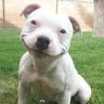 Sbusiso Nene