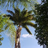 heavenlypath7
