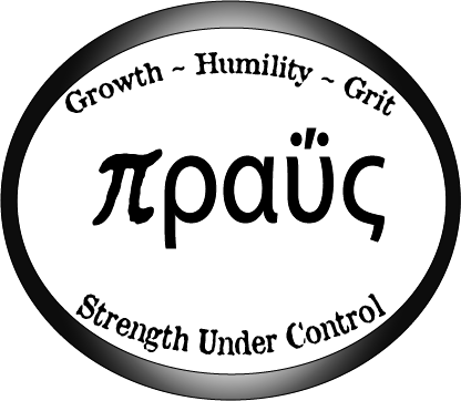The Praus Project - Strength Under Control