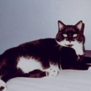 My Podcast Site