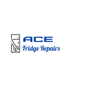 Top Reasons Why You Need to Repair Your Fridge before Winter
