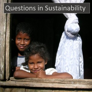 Questions in Sustainability