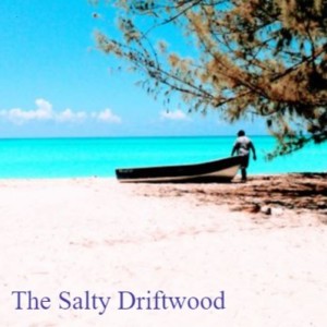 The Salty Driftwood