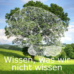 Wissen, was wir nicht wissen
