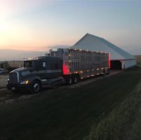 logchainejh