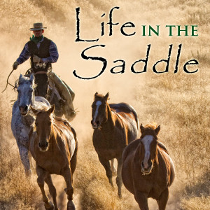 Life In The Saddle