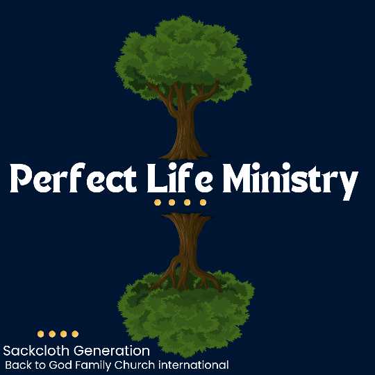 Perfect Life Ministry