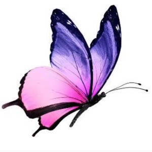Livestream Logo