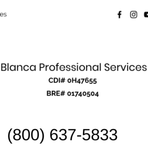 The Blanca Professional Services Podcast