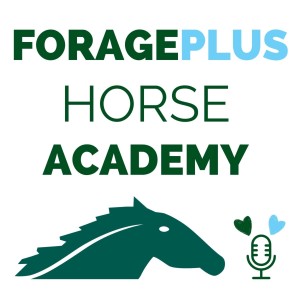 Forageplus Horse Academy