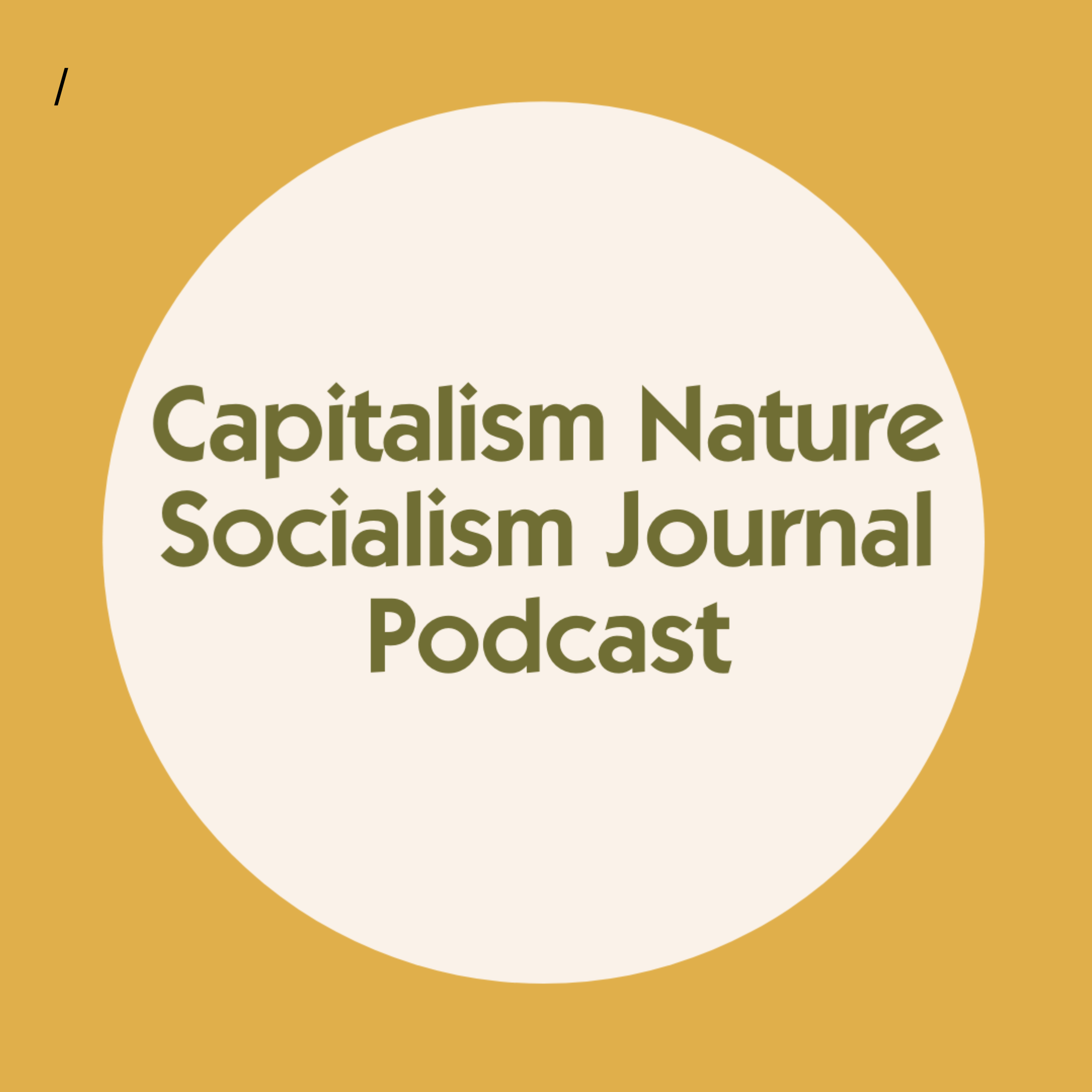 Capitalism Socialism Journal Podcast