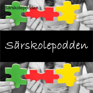 Vetenskaplig grund, beprövad erfarenhet - en evidensbaserad skola