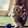 LMeow