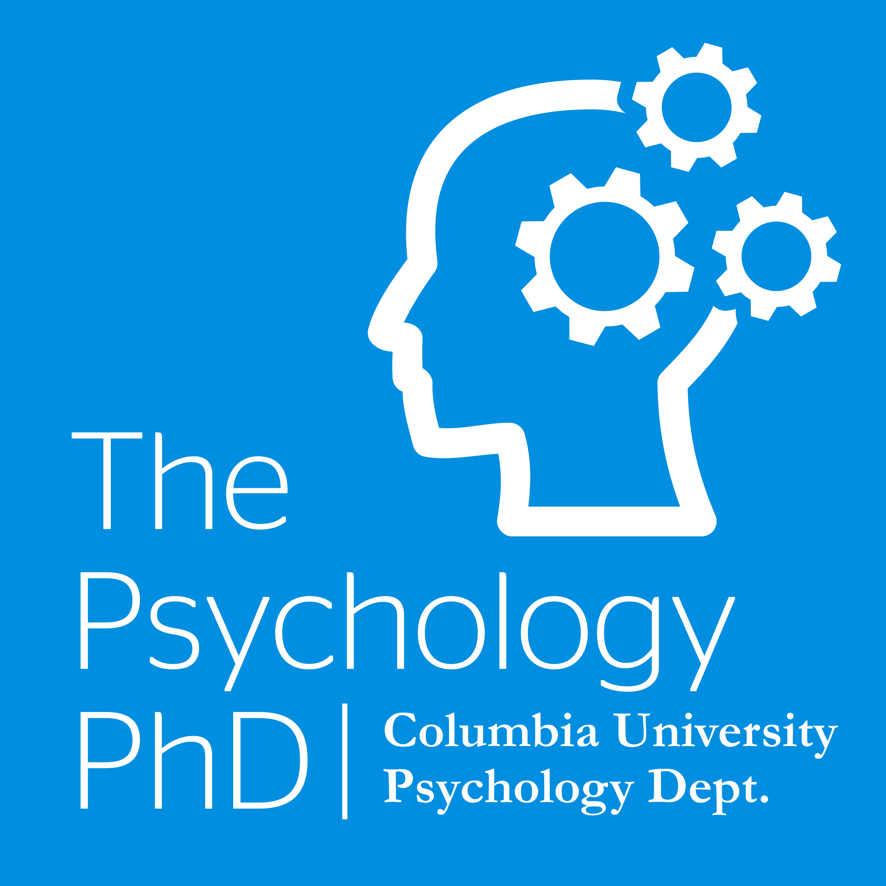 The Psychology PhD