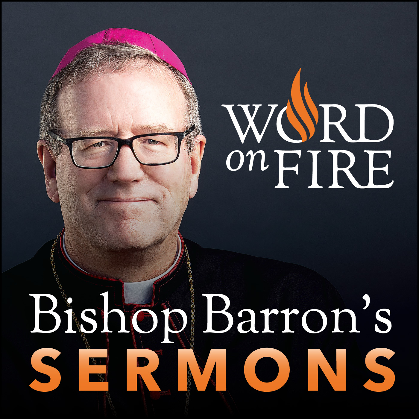 Bishop Robert Barron S Sermons Catholic Preaching And Homilies   Bishop Barron Sermons 