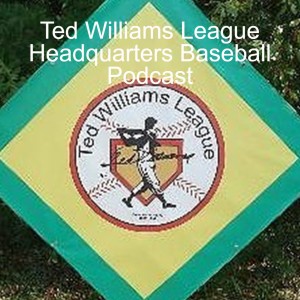 2022 Ted Williams AA Division Championship Game 9 Innings Black vs Purple