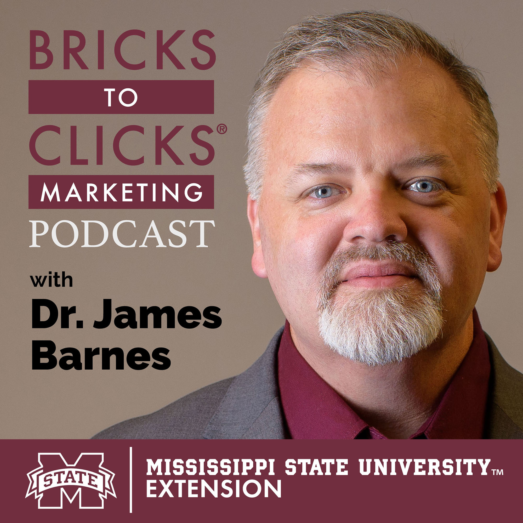 Bricks-To-Clicks Marketing Podcast
