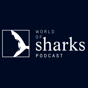 Thresher Sharks: The Biomechanics of Tail-Whipping with Jamie Knaub