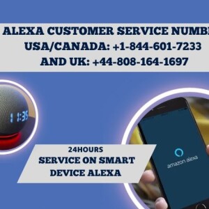 Alexa Brief Mode Not Working Get Solve Here