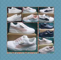 Moddymuzondo@gmailcom