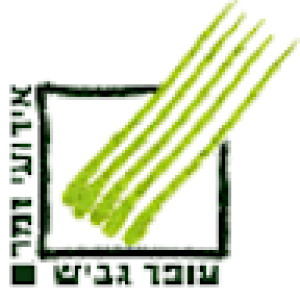 בדד - איך שיר נולד