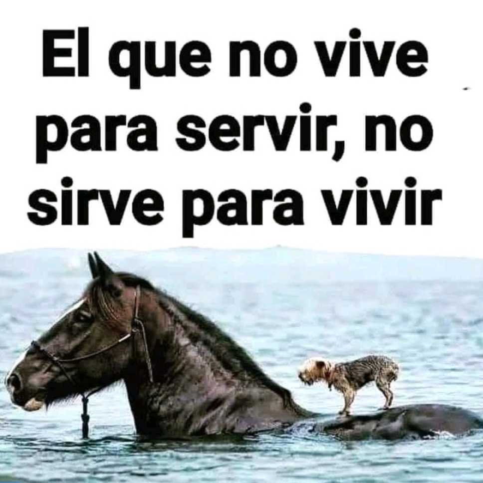 segundonestorchamba