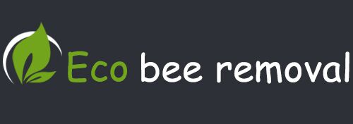 Bee Hive Removal Services