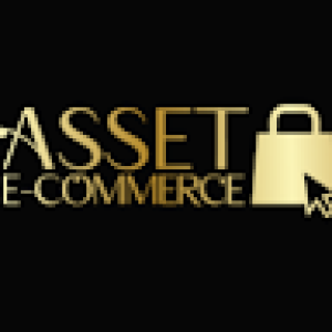 Asset E-commerce - Free E-Commerce Brand secret course.