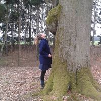 vbachmanni