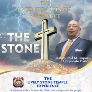 The Lively Stone Temple Experience