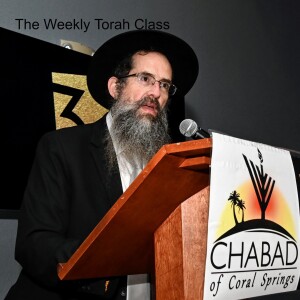 The Weekly Torah Class by Rabbi Avraham Friedman