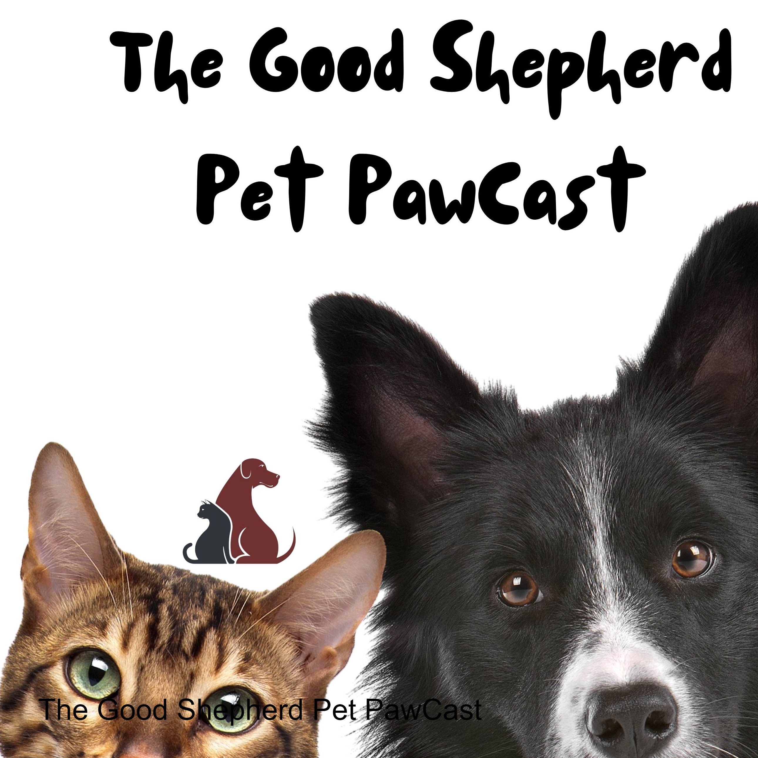 The Good Shepherd Pet PawCast