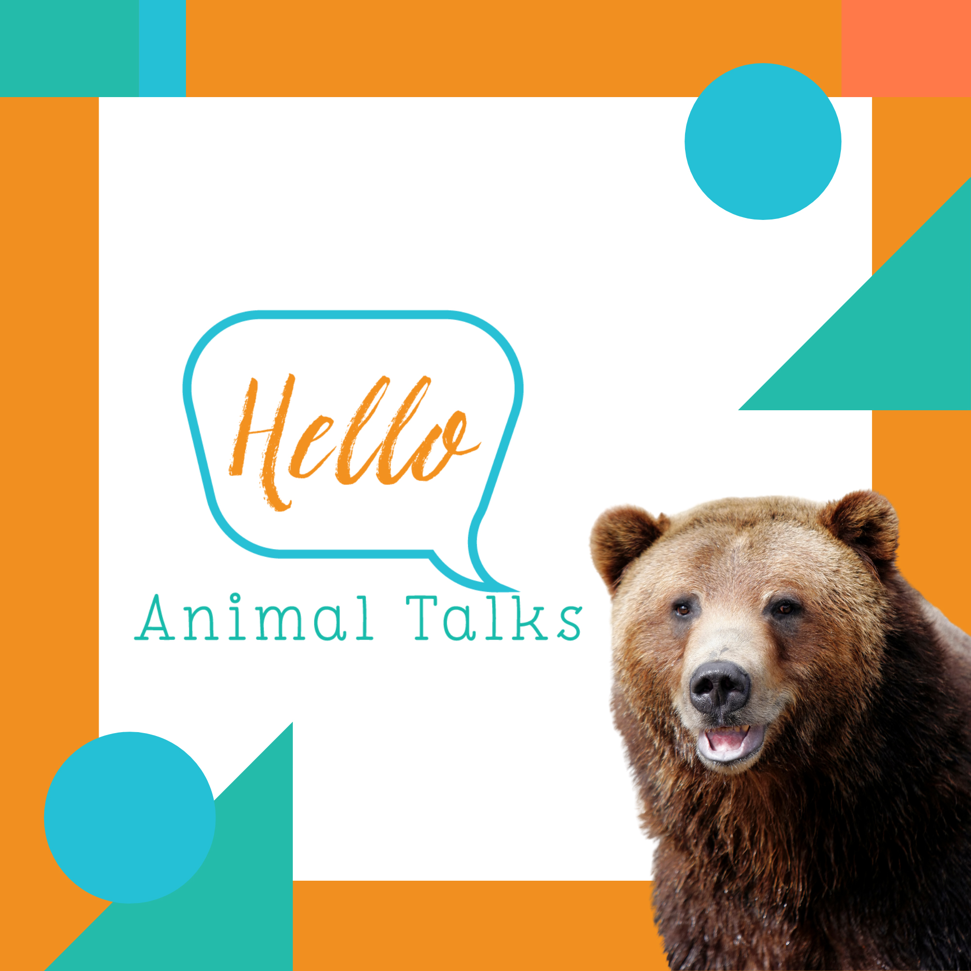 Hello Animal Talks