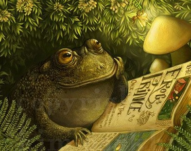 The Bookish Toad
