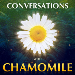 Conversations with Chamomile