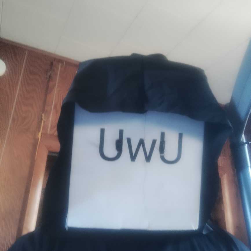 king UwU