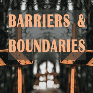 Barriers and Boundaries Resilience Leadership