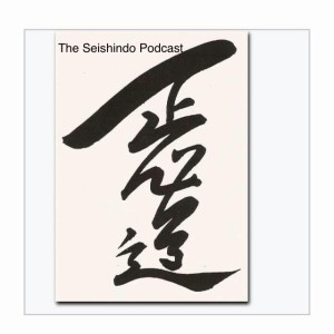 Episode 1: What is Seishindo?
