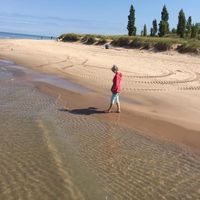 sandyfiechter