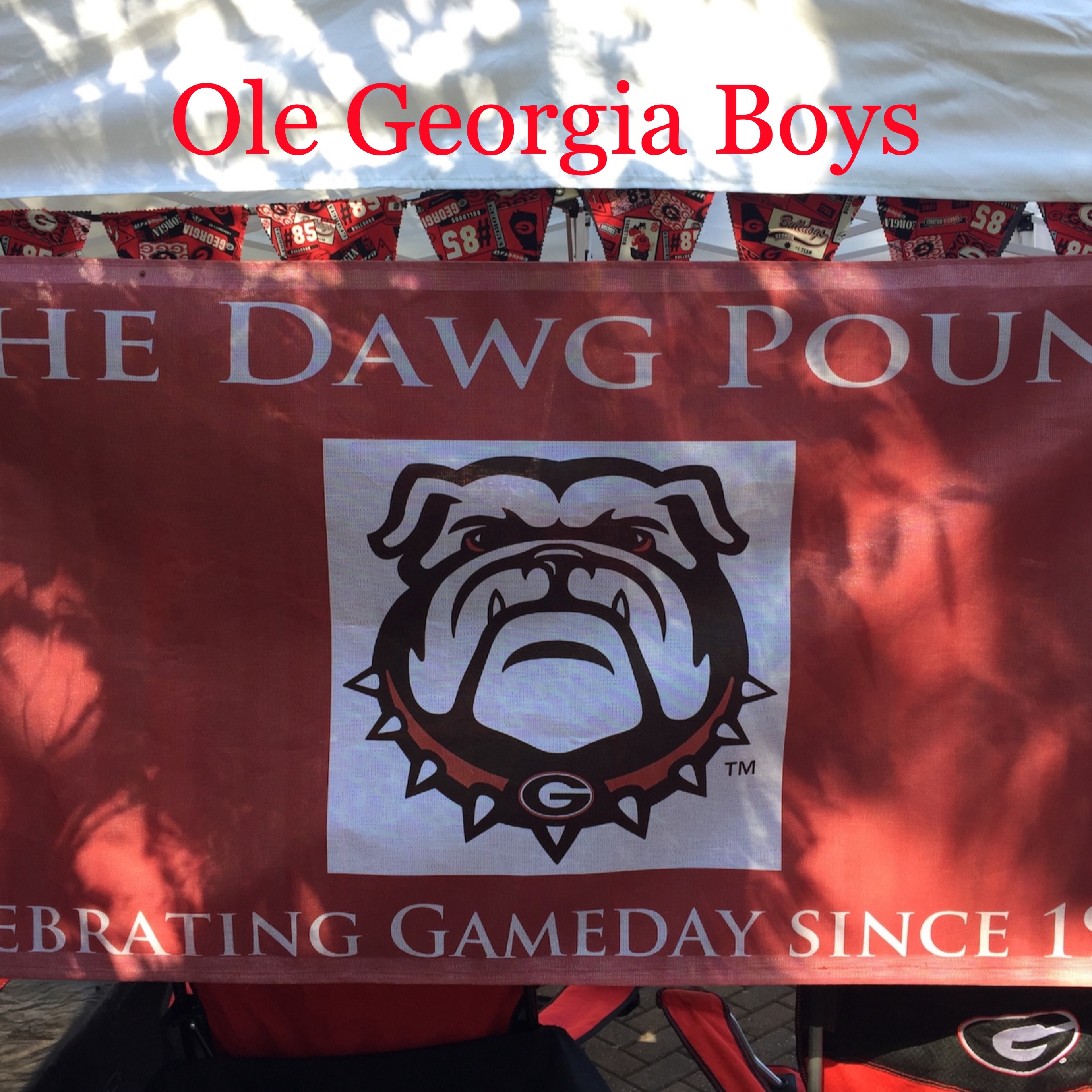 Ole Georgia Boys