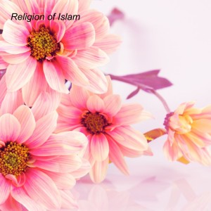 Religion of Islam