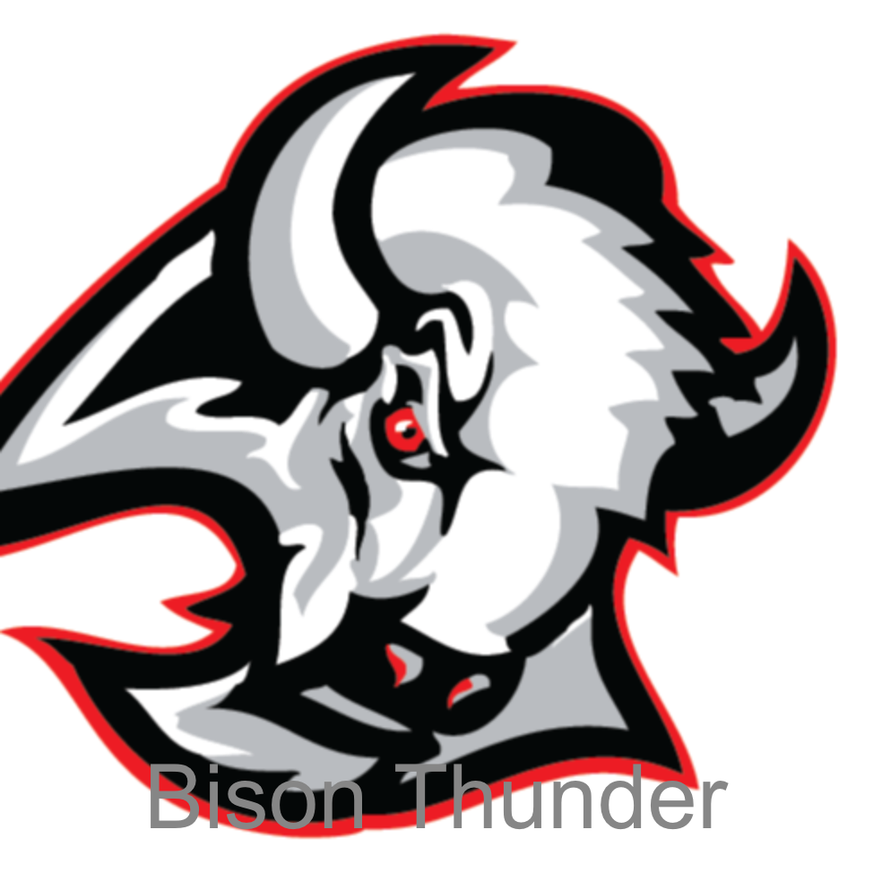 Bison Thunder