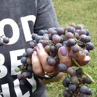 ece10222813309375933