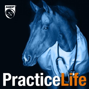 Breaking the Burnout Cycle in Equine Practice