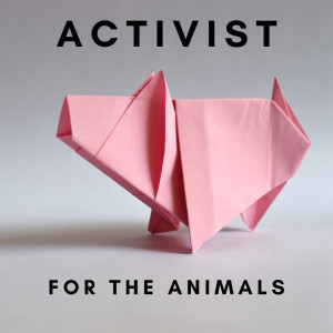 EP #33; The POWER of Bearing Witness with Animal Save Movement | Anita Krajnc