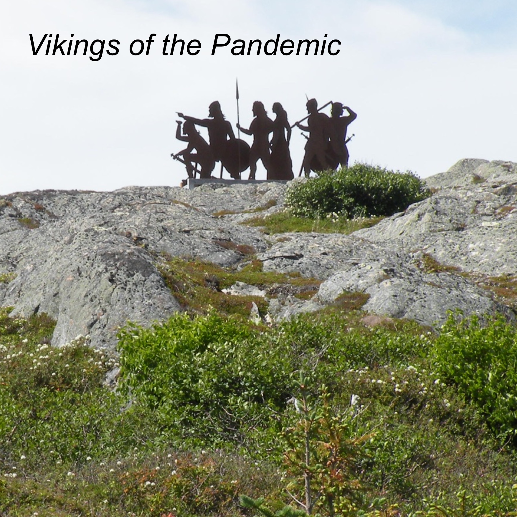 Vikings of the Pandemic