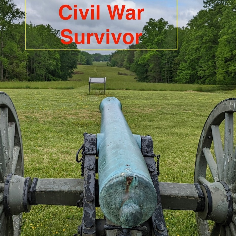 Civil War Survivor